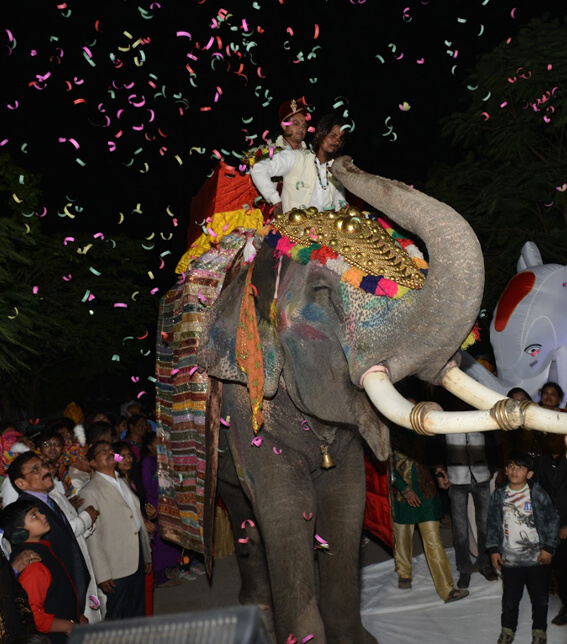 Diwas Luxury Weddings